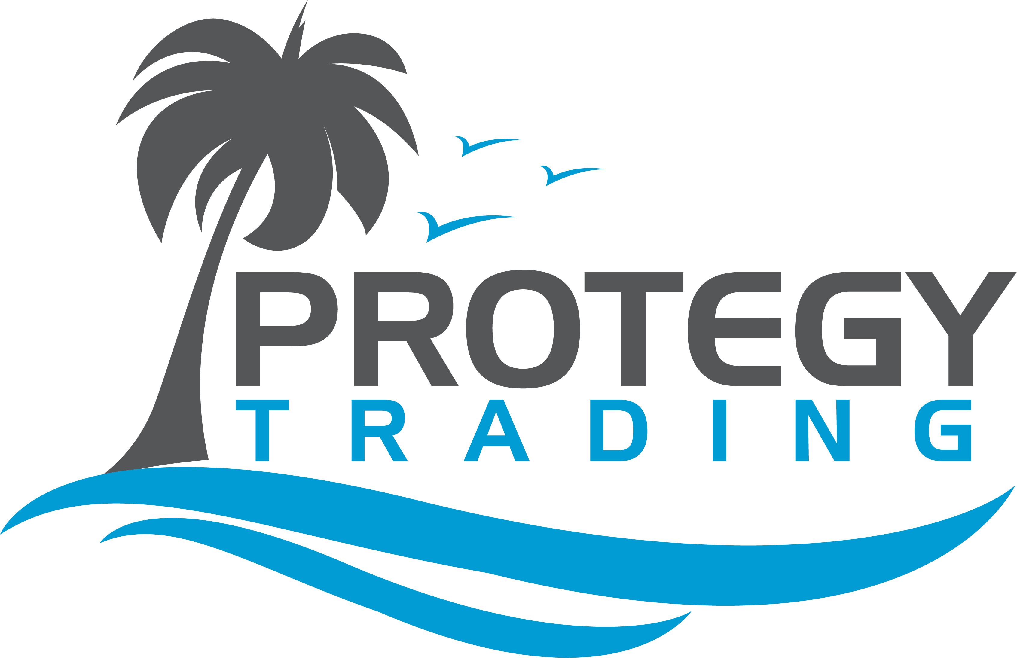Protegy Trading