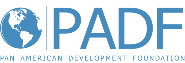 Pan American Development Foundation