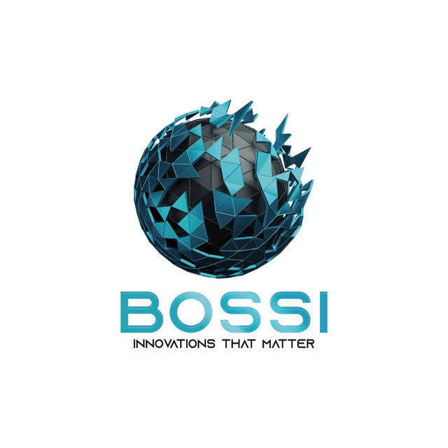 Bossi Security Risk Management