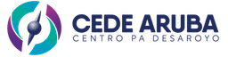 Programmaleider